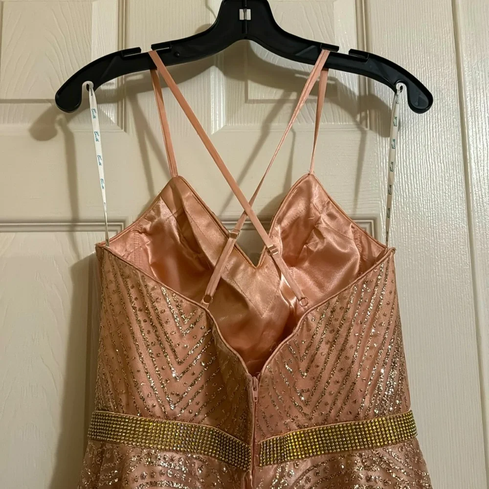 Pink Gown - Picture 3 of 11
